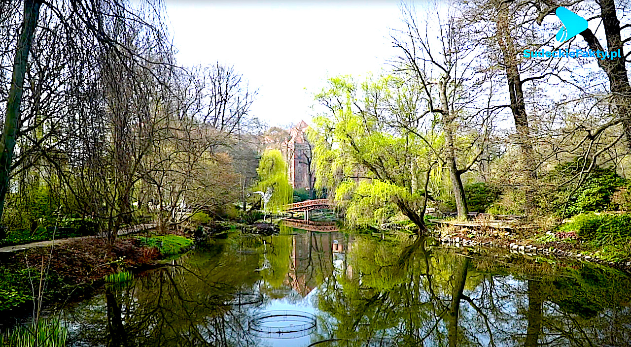 Gdzie jest najpiękniej wiosną? – odpowiedź jest tylko jedna: w Ogrodzie Botanicznym [VIDEO]