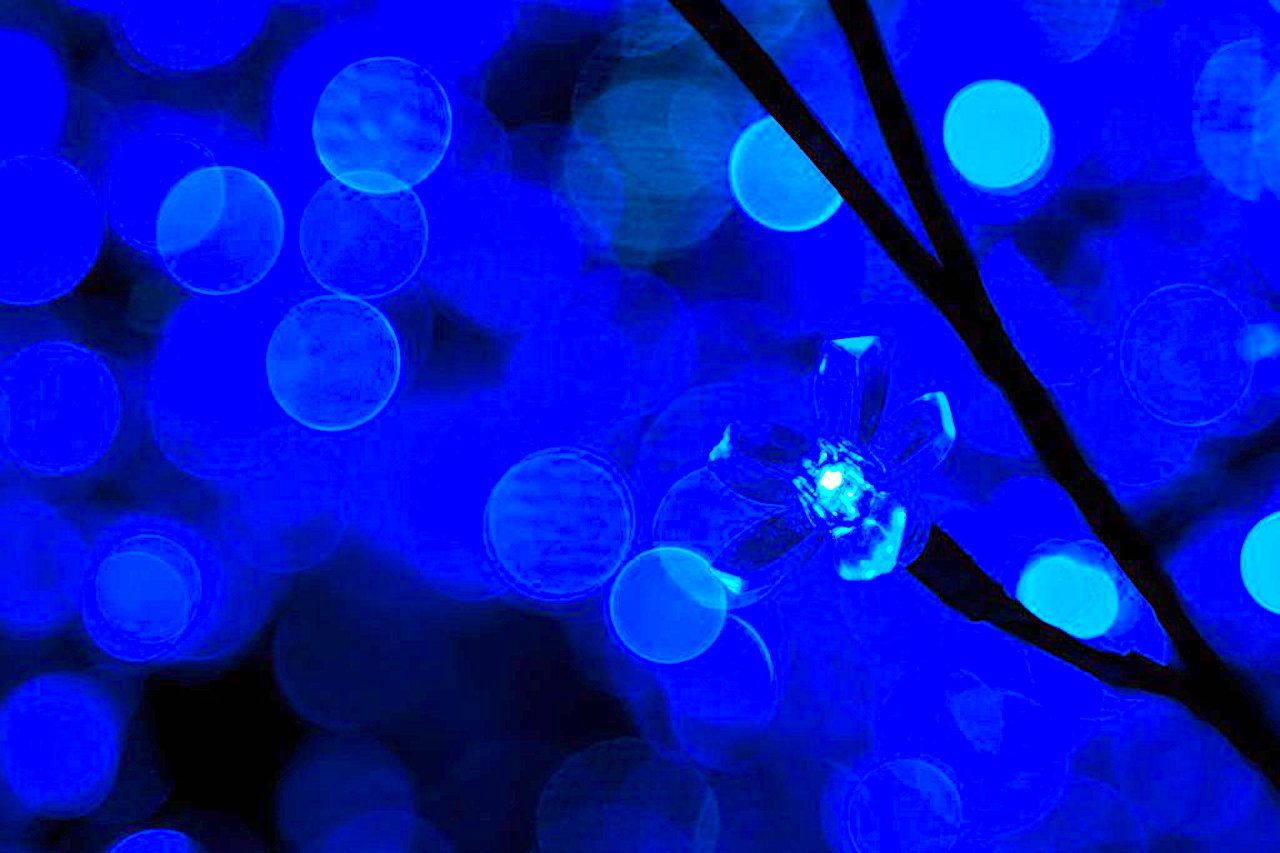 Raport CBOS: społeczny obraz autyzmu