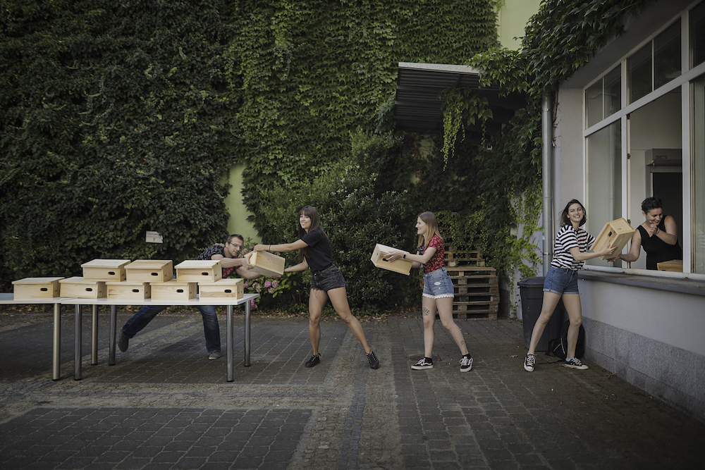 Odbierz budkę dla jerzyków i zabezpiecz się przed komarami