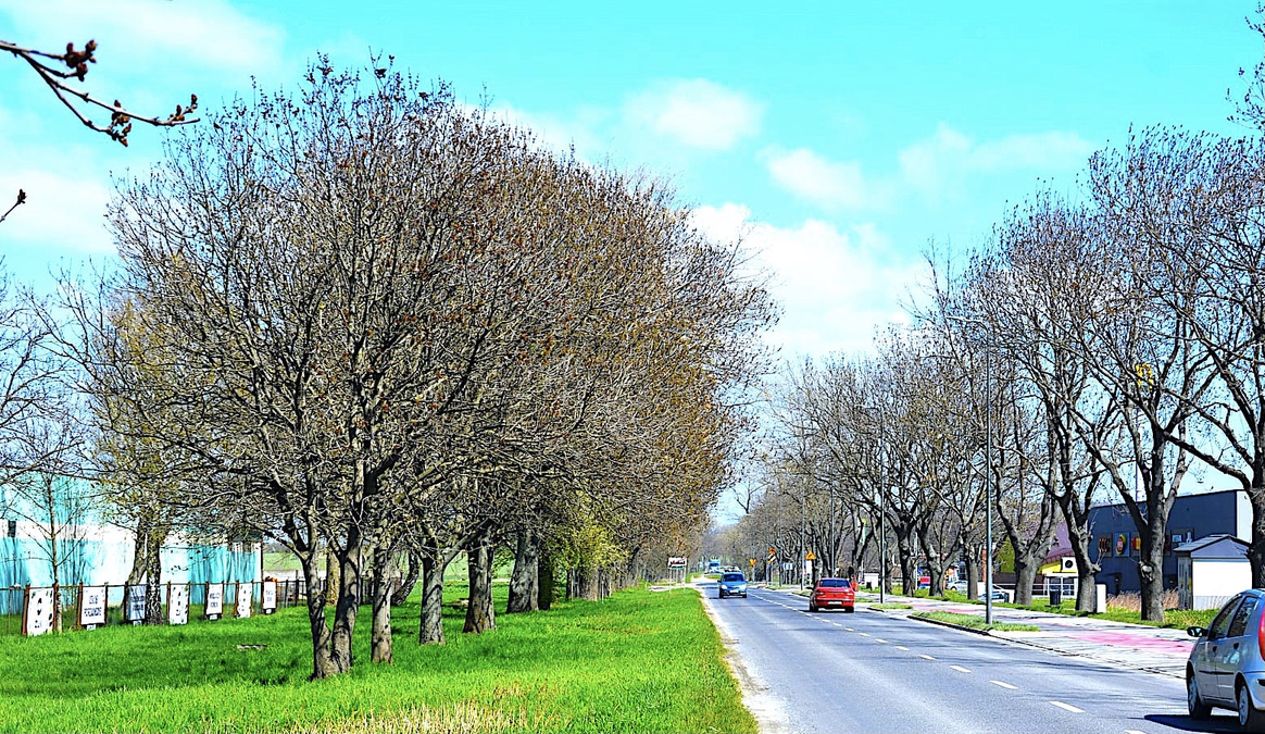 Będą nowe mieszkania i ulice – Strzegom uzyskał wsparcie na kolejne inwestycje