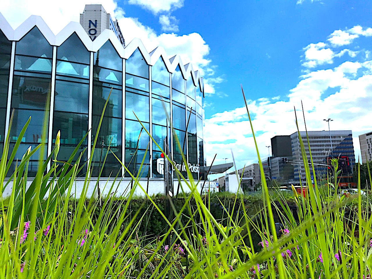 Bycie EKO opłaca się – największy bank w Polsce wspiera transformację energetyczną kraju