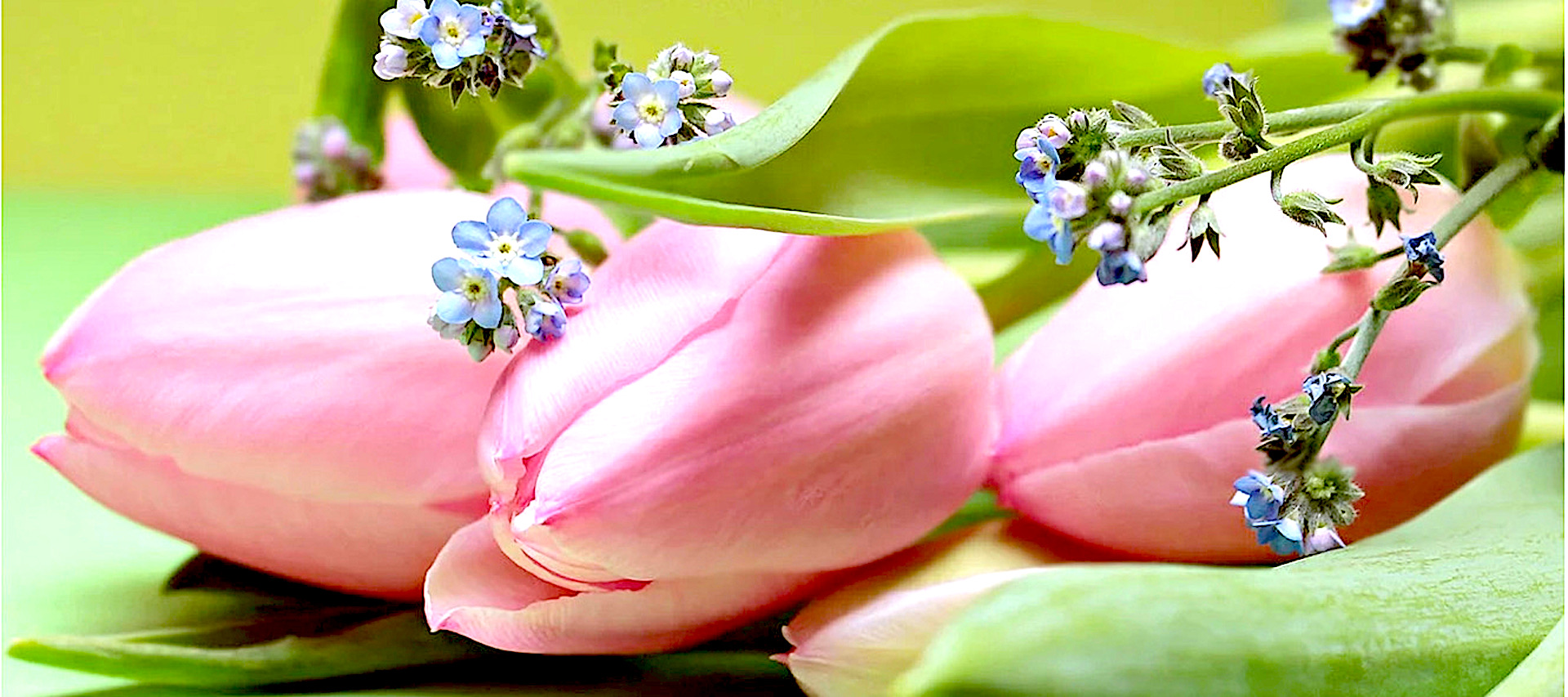 Nasze kochane Mamy…