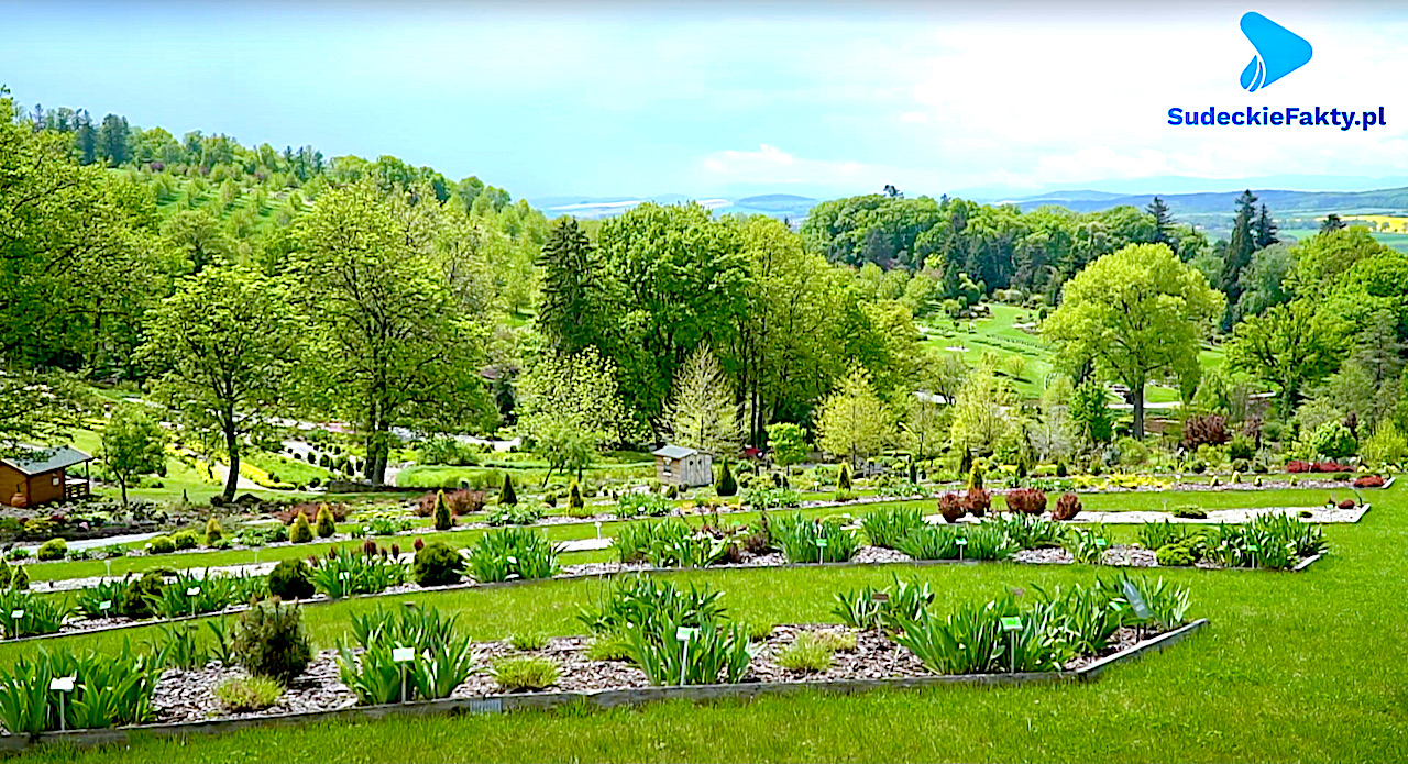 Marzysz o spacerze w toni prawdziwych kolorów – w Wojsławicach spełnisz to pragnienie [VIDEO]