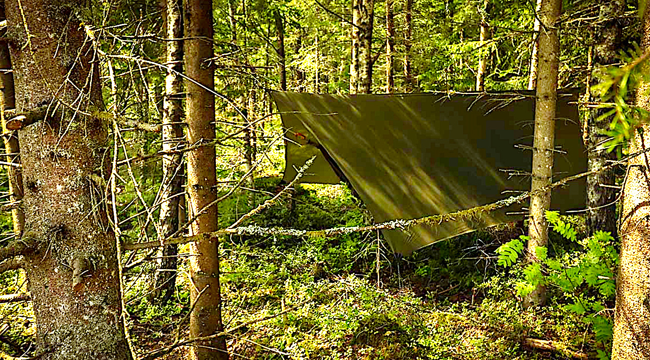 Nie wiesz co zrobić z wolnym czasem? – mamy podpowiedź: zanocuj w…