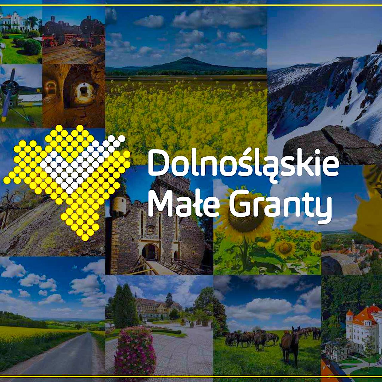Dotacje na inicjatywy o charakterze ekologicznym – aplikacje można składać indywidualnie lub poprzez organizacje pozarządowe