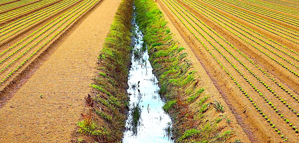 Gminy dostaną dotacje na urządzenia melioracyjne – ZOBACZ LISTĘ samorządów, które będą mogły lepiej zapobiegać lokalnym podtopieniom
