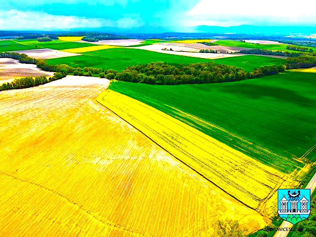 Wsparcie dla ząbkowickich Kresowiaków