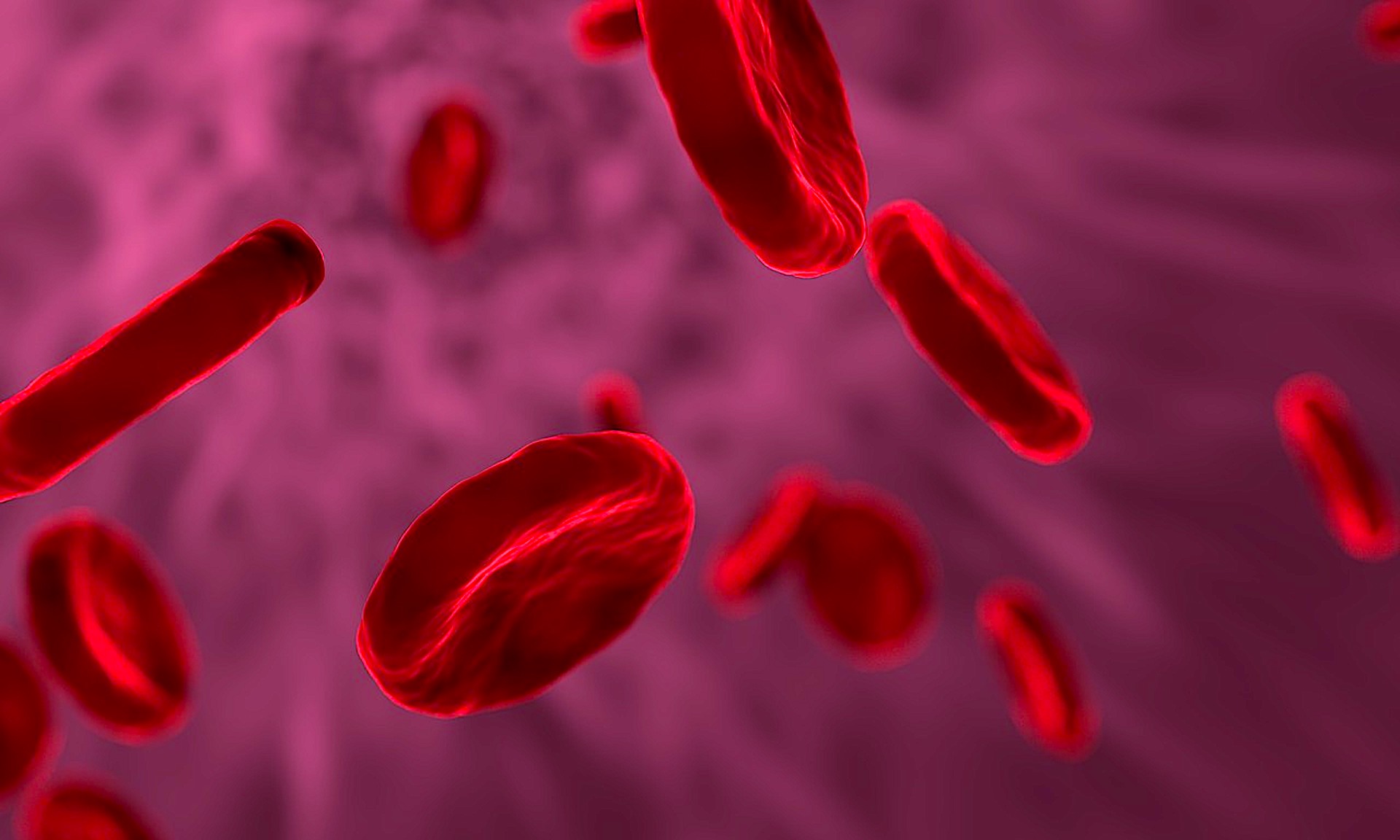 Co powstrzymuje Polaków przed profilaktyką nowotworów krwi?