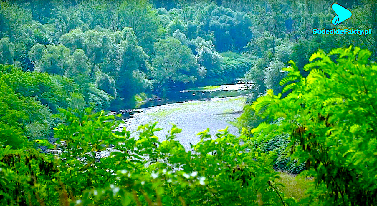 Tysiąc hektarów, które mogą ratować przed powodzią – w gminie Kamieniec Ząbkowicki może powstać zbiornik wodny chroniący nawet Wrocław [VIDEO]