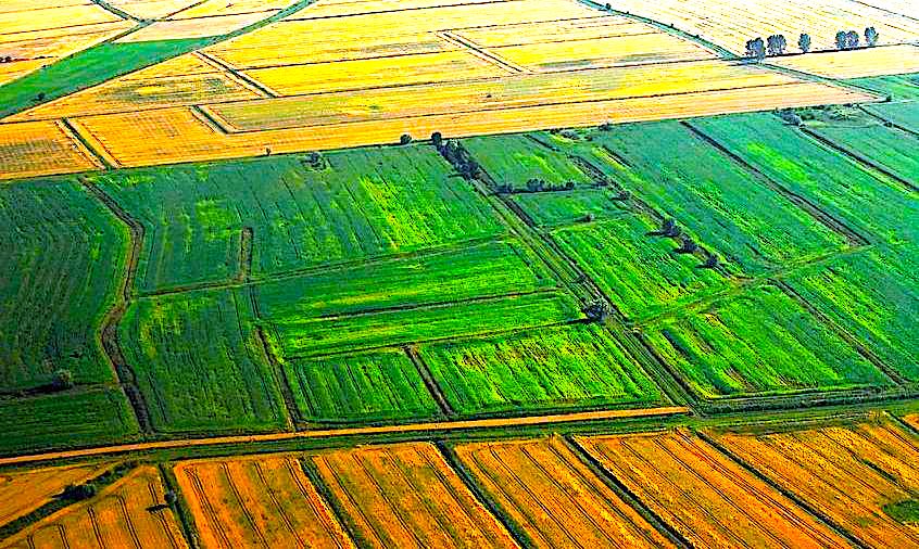 Większe nakłady na jakość gruntów rolnych – jest LISTA DOTACJI, dzięki decyzji sejmiku województwa dolnośląskiego