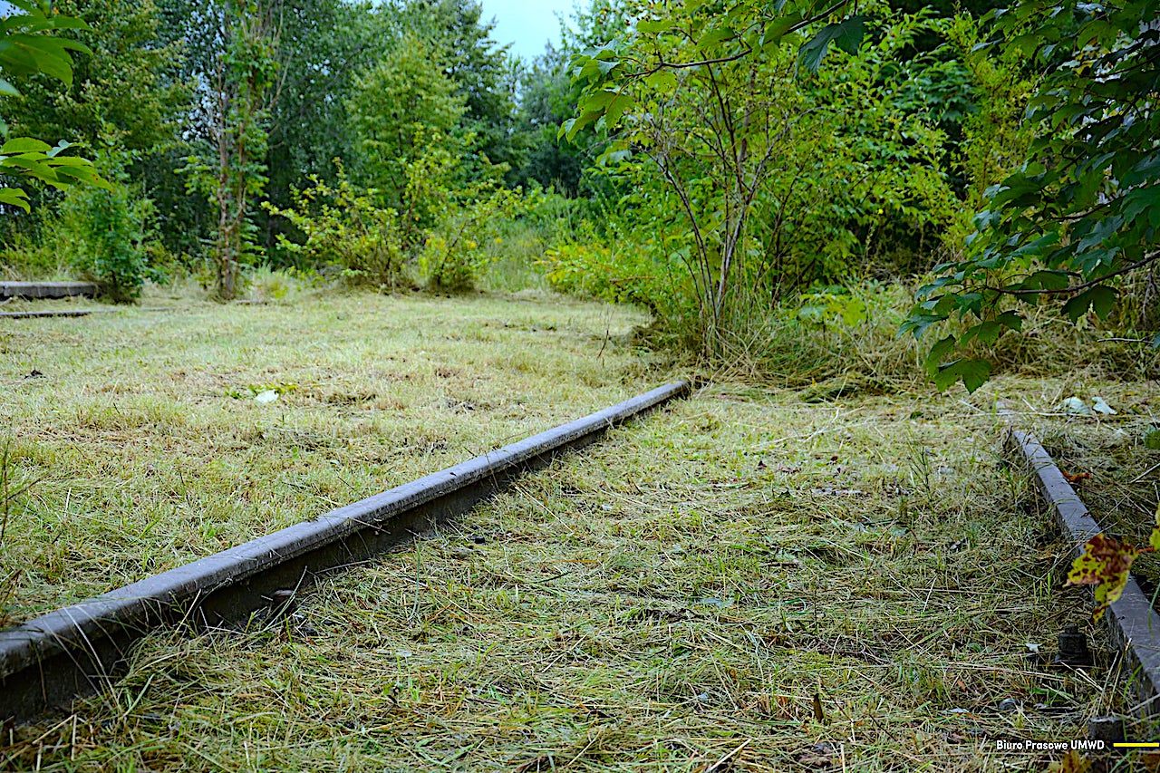 Następna trasa kolejowa na południu Dolnego Śląska – samorządy przystępują do rewitalizacji linii Bogatynia – Zgorzelec