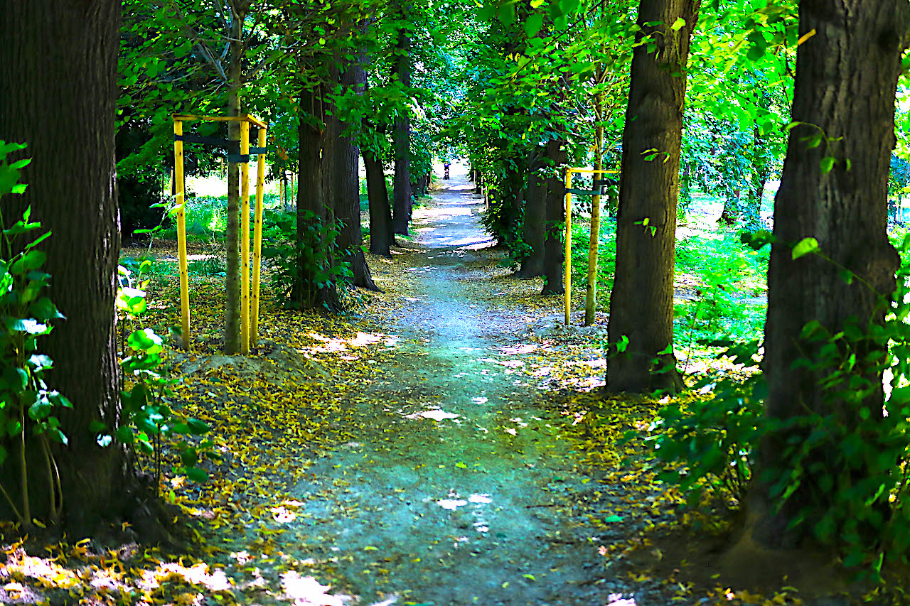 Kolejna przestrzeń miejska stanie się oazą natury – Świdnica coraz bardziej zielona