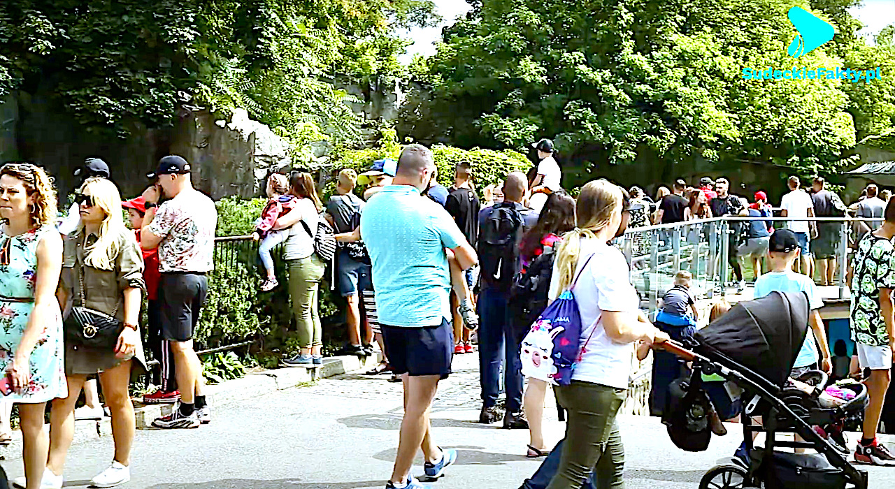 Marketing postpandemii – można podjąć nowe i nowatorskie studia na Dolnym Śląsku [VIDEO]