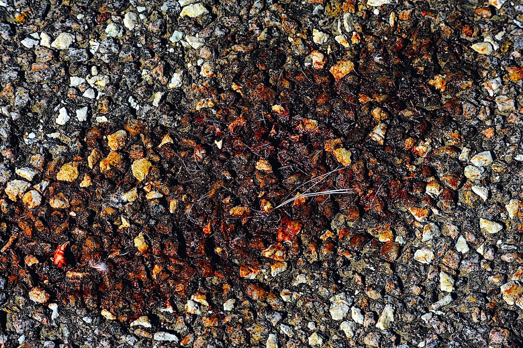 Statystyki śmiertelności na drogach w Unii Europejskiej – najbezpieczniejszym krajem pozostaje…