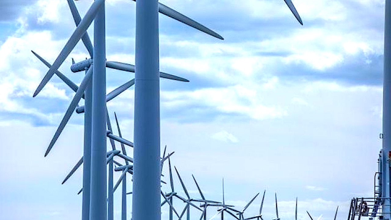 Wyjaśniamy pięć zagadnień związanych z Europejskim Zielonym Ładem