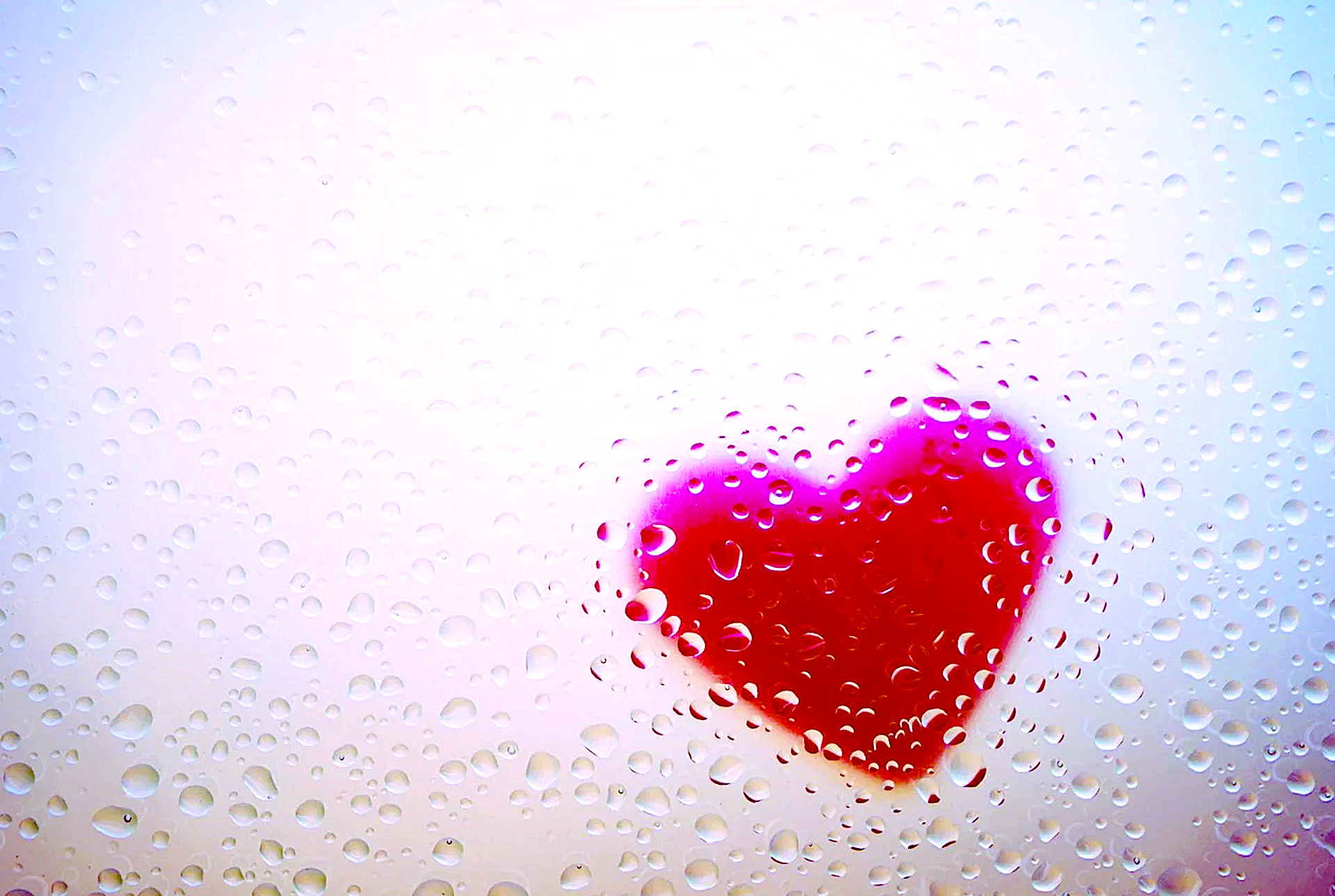 Światowy Dzień Serca – serce nie zaczeka