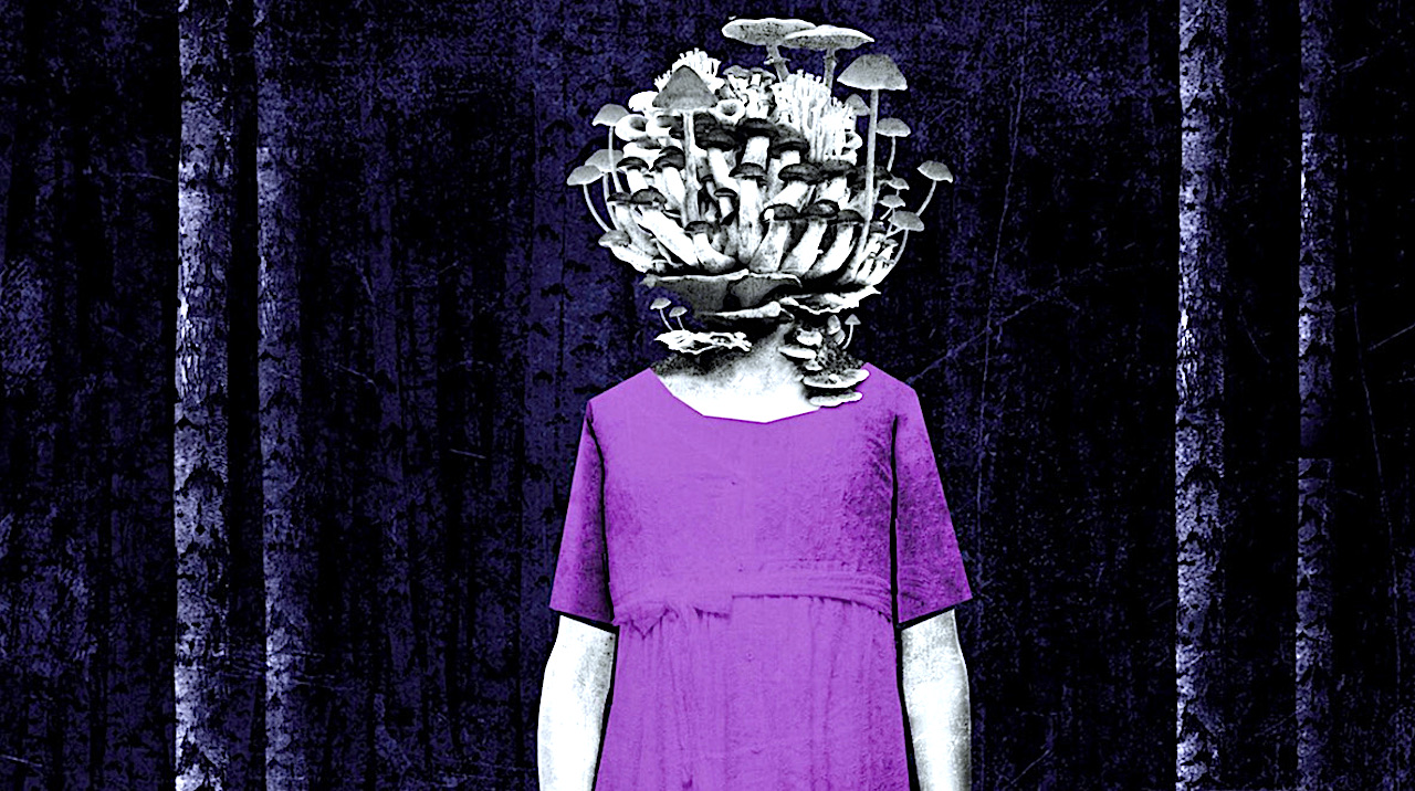 Dom jako ciało i ciało jako dom – „Home Beyond the Borders?”