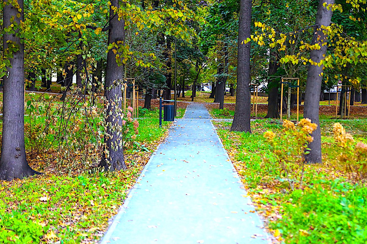 Park Młodzieżowy jeszcze bardziej bioróżnorodny – świdniczanie zyskają teren zielony z prawdziwego zdarzenia