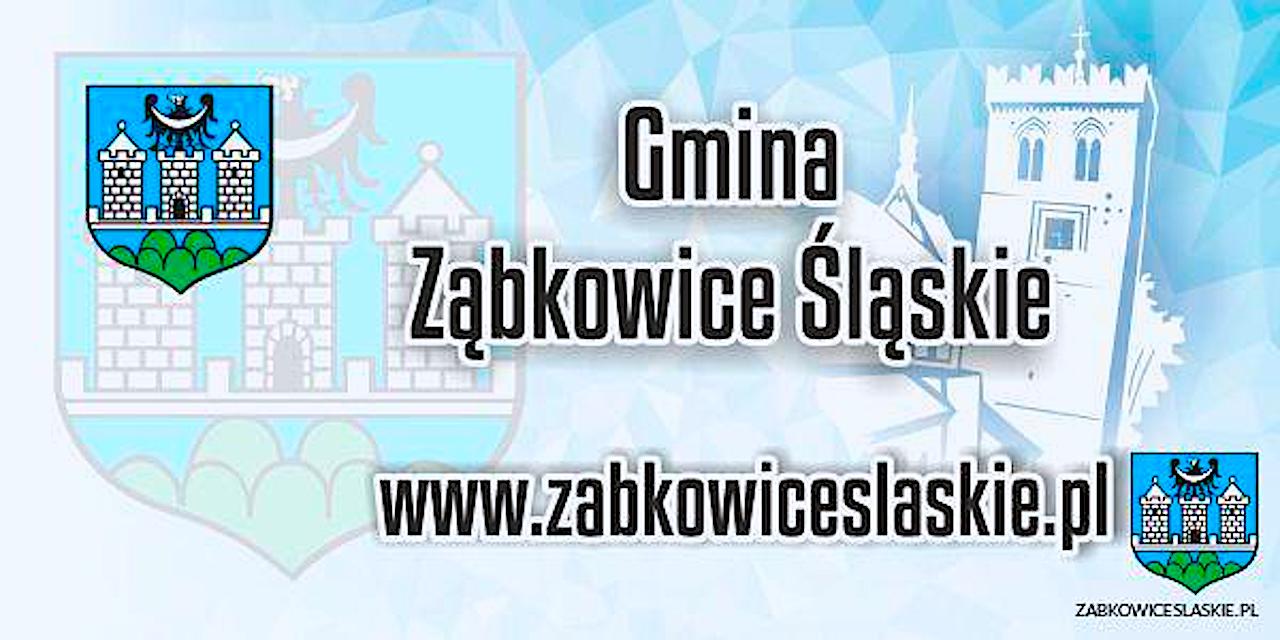 Komunikat Powiatowego Lekarza Weterynarii w Ząbkowicach Śląskich w sprawie zagrożenia wystąpienia wysoce zjadliwej grypy ptaków