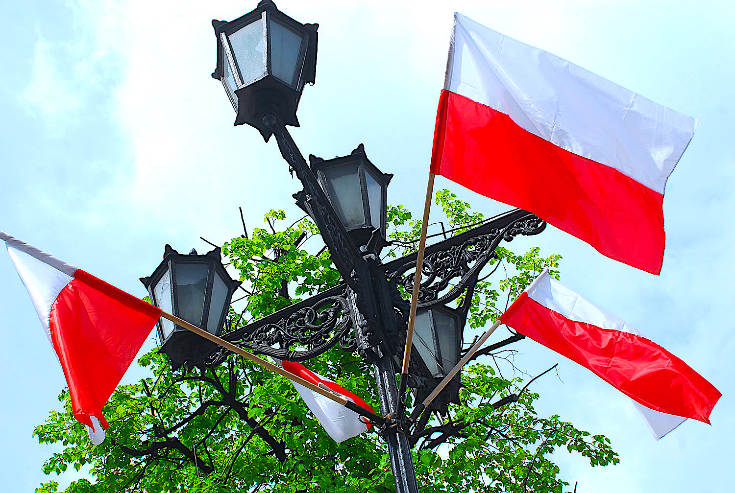 Narodowe Święto Niepodległości 2021 – paleta zaproszeń na patriotyczne spotkania