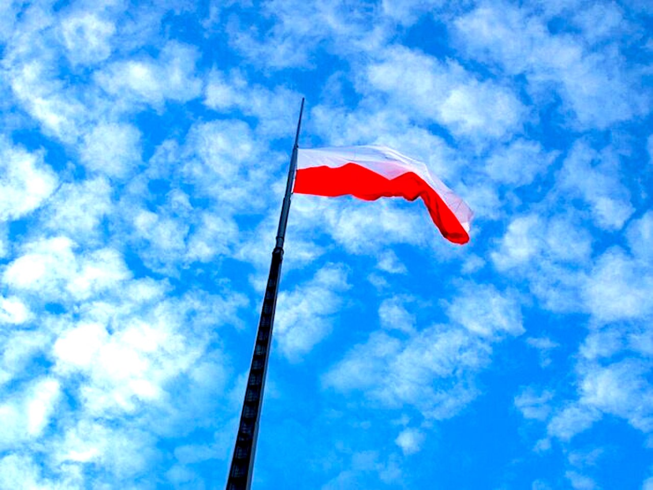 Polski gen wolności