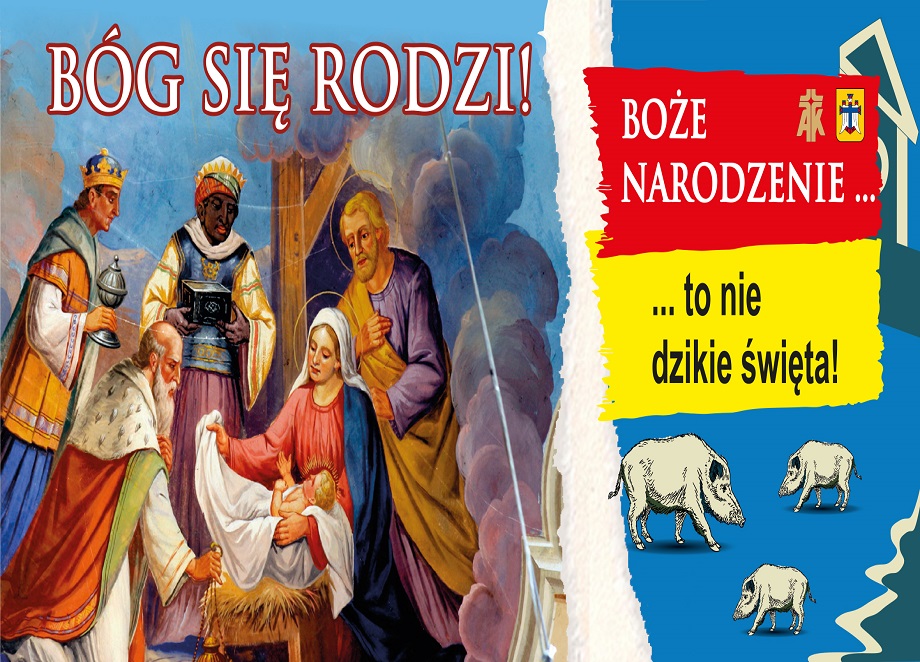 „Boże Narodzenie to nie dzikie święta”… – reakcja na plakat opublikowany w Świdnicy