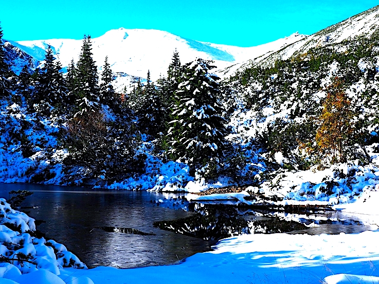 Gwiazdka bez obowiązków i sprzątania – Polacy wyjadą na świąteczne dni