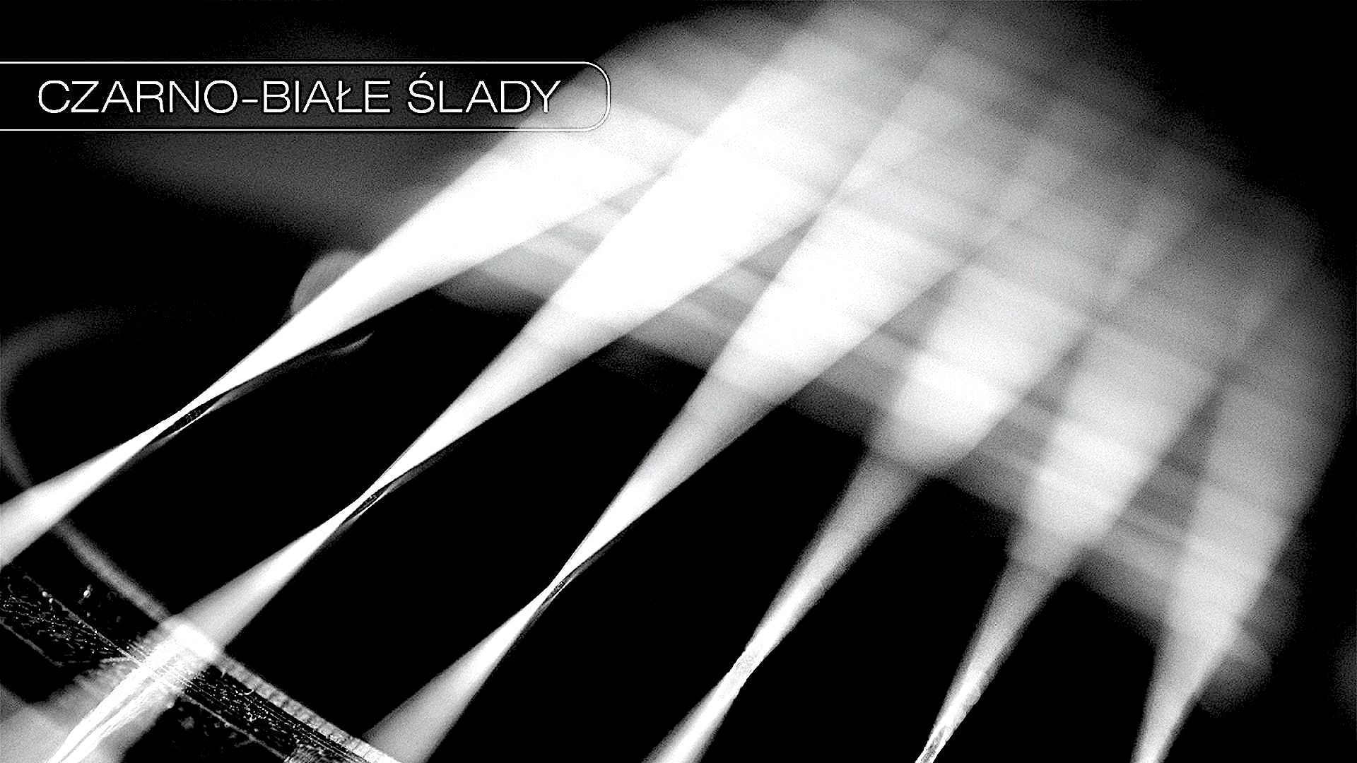 Przypomnisz sobie Grzegorza Ciechowskiego i Republikę – „Czarno-białe ślady”