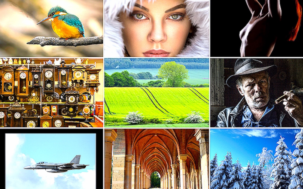 „Co nam w duszy gra” – świat przez dziewięć obiektywów