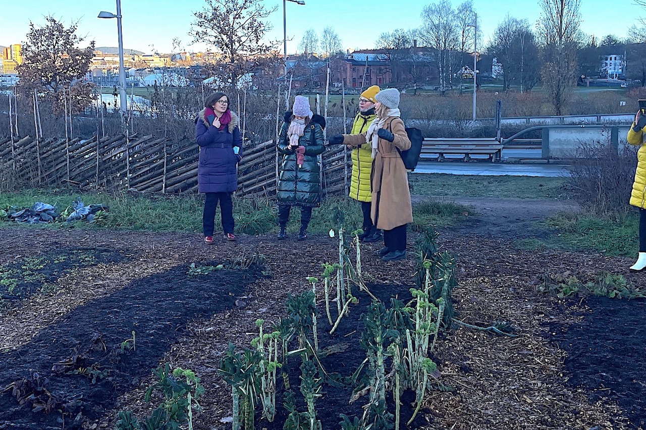Kłodzko chce być w zgodzie z naturą – miasto ma być bardziej zielone i bardziej niebieskie