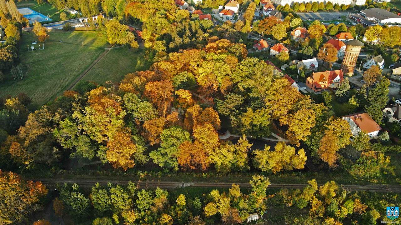 Ząbkowickie parki z nowym oświetleniem – ogłoszenie o przetargu