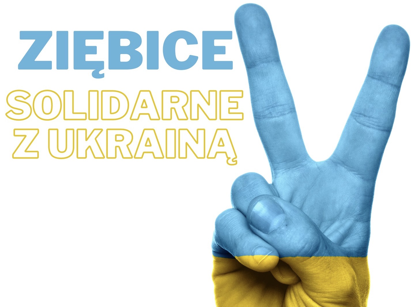 Ziębice solidarne z Ukrainą