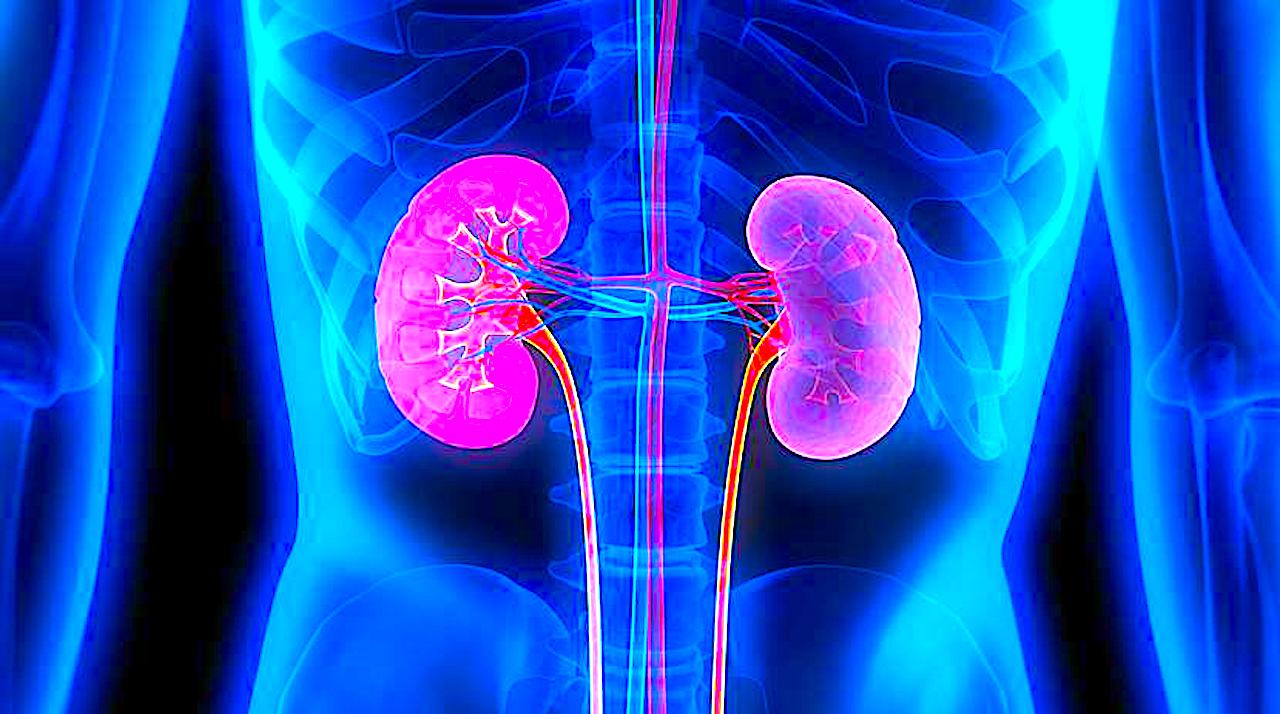 Choroby nerek mogą być podstępne – brak objawów pozwala im się rozwijać