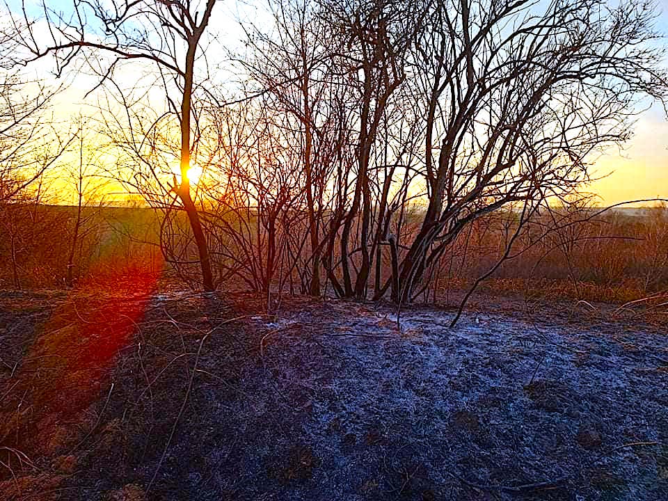 Nie wypalajcie traw!