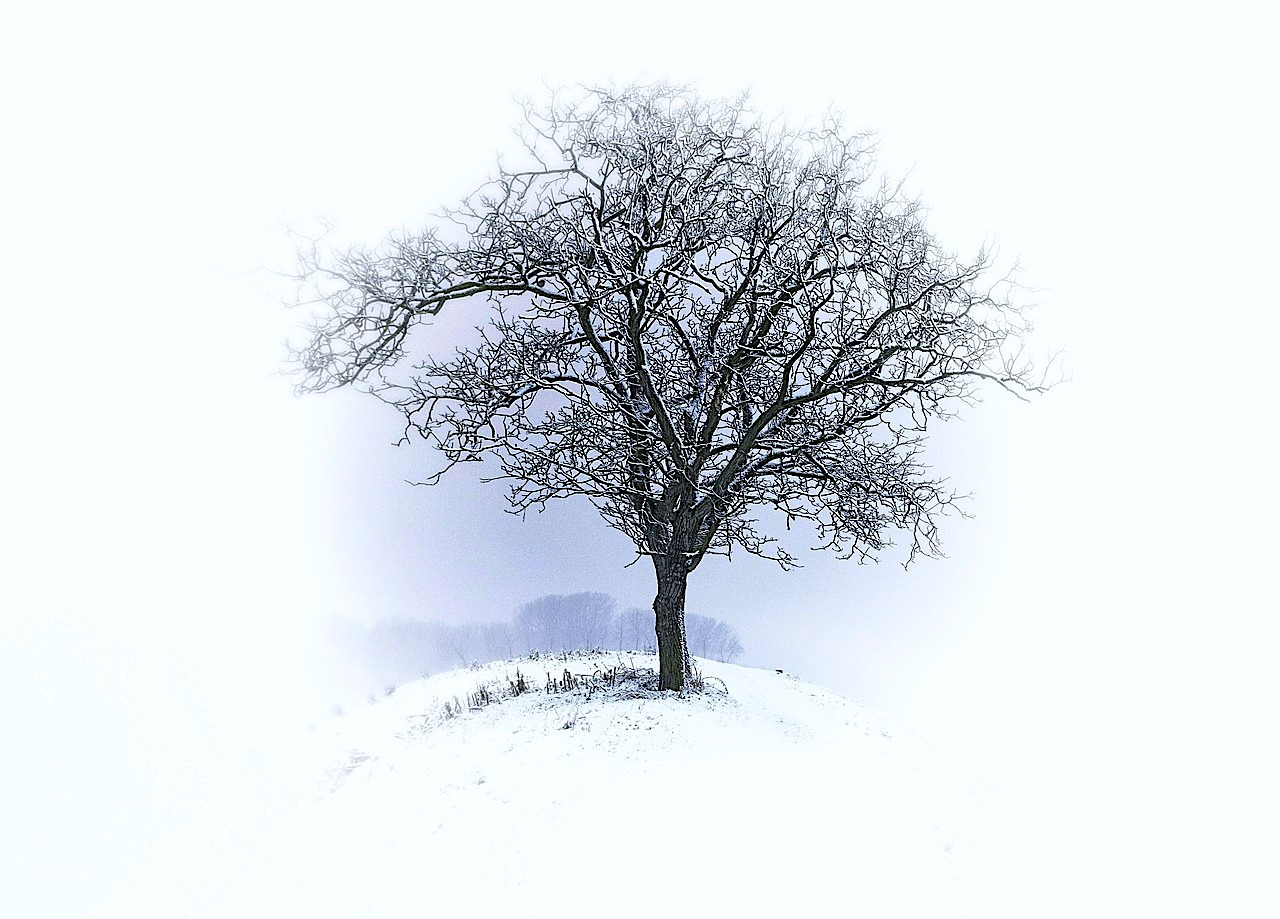 W jaki sposób dodać sobie energii zimą?