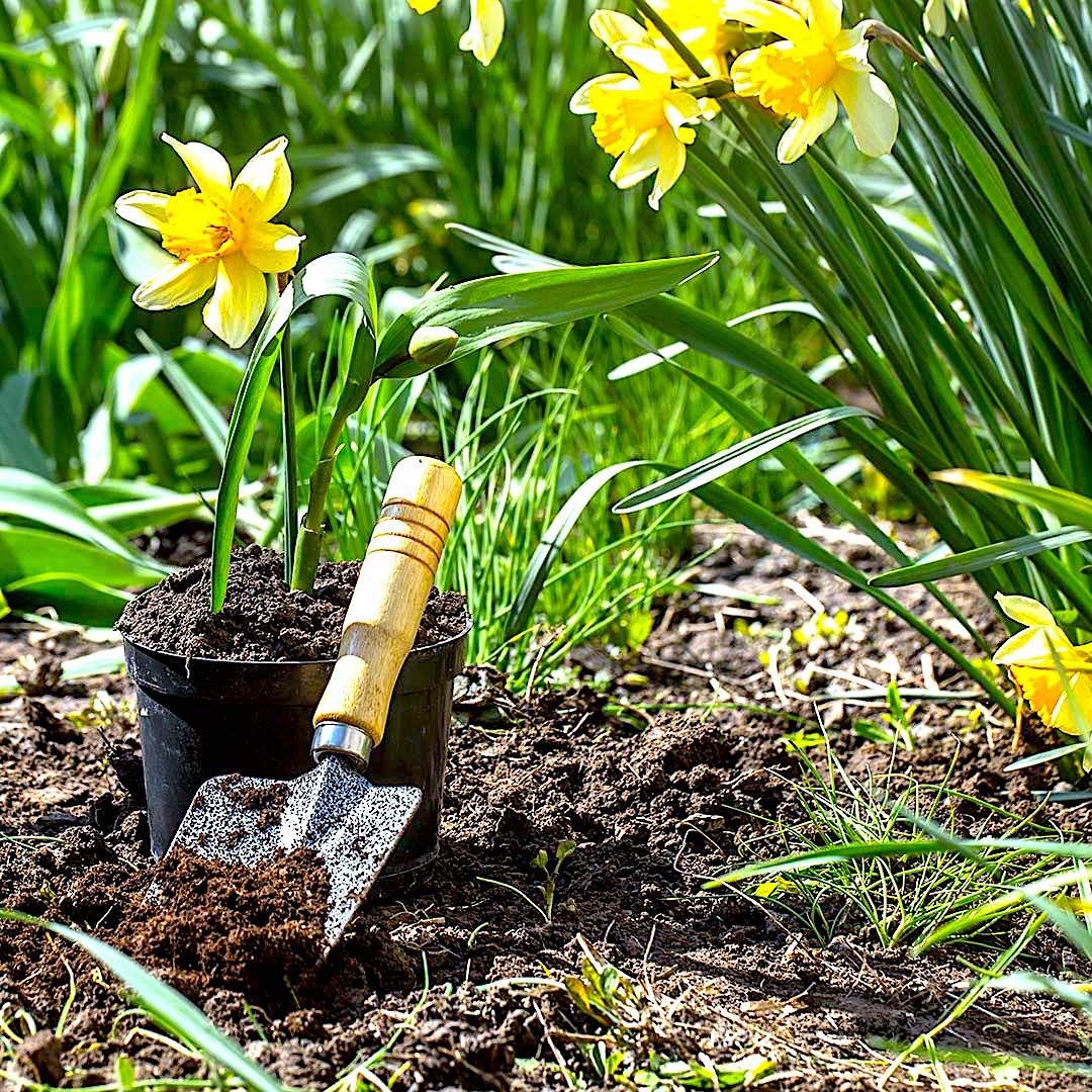 Zielono-niebieskie miejskie podwórka – Kłodzko chce być bliżej natury
