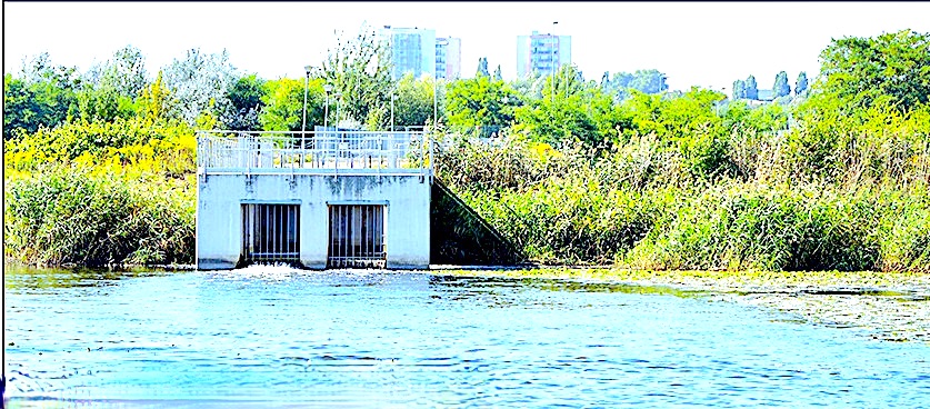 Pozostałości leków z kanalizacji w ciągłym obiegu wodnym – problem na Odrze!