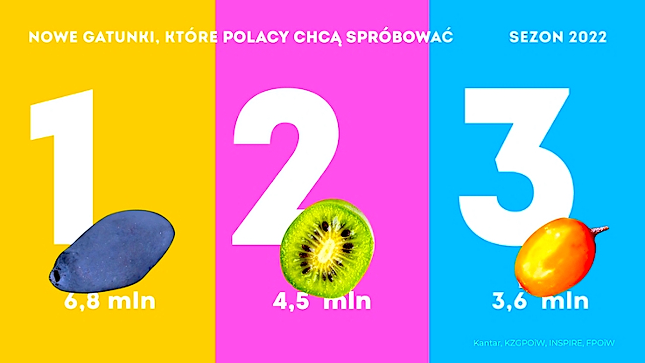 Trzy najbardziej oczekiwane superowoce 2022 roku: jagoda kamczacka, minikiwi, rokitnik