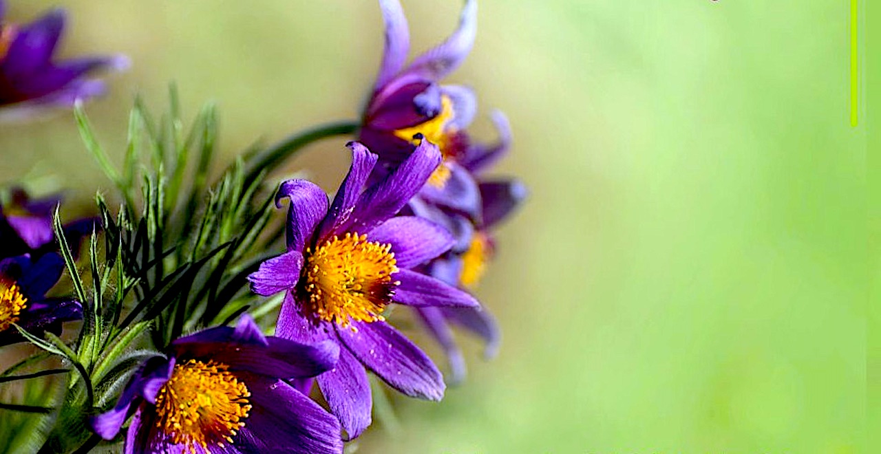 „Fotografie to kęsy czasu, które można wziąć do ręki” – wystawa pokłosiem pracy kłodzkich pasjonatów