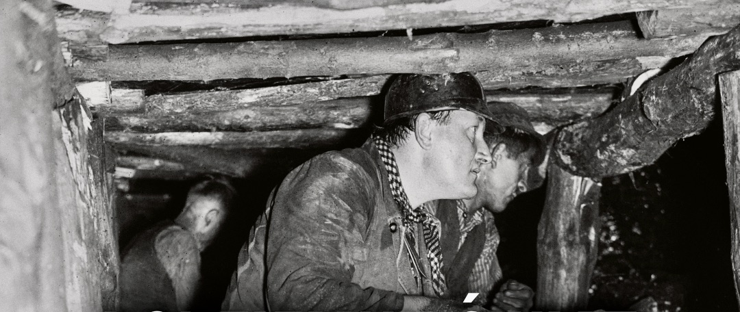 Unikalny „Podziemny świat” – od dzisiaj do zobaczenia w Starej Kopalni