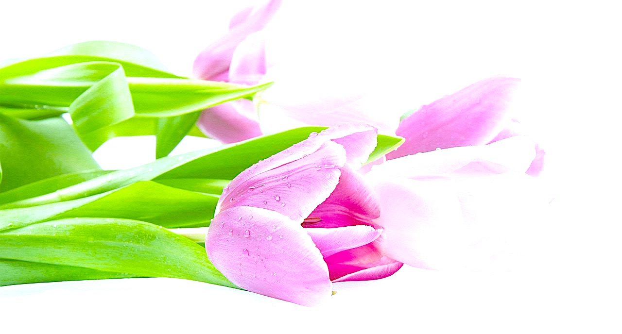 Życzenia dla każdej Mamy