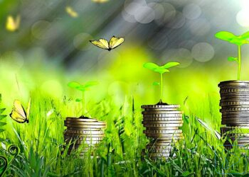 3 miliardy złotych na wykorzystanie odpadów w energetyce – nabór wniosków przedsiębiorców już trwa