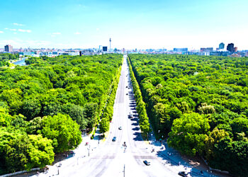 Jakim autem wjedziemy do centrum wielkich miast? Analiza stref niskiej emisji spalin w europejskich stolicach