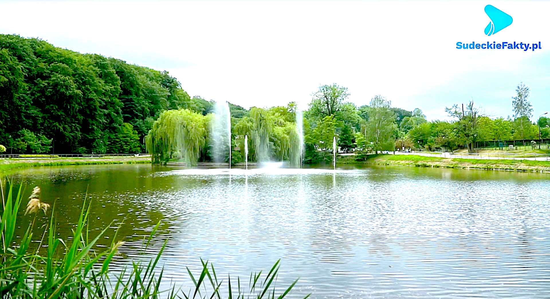 Stawy Trzebnickie – jeden z najbardziej malowniczych zakątków Dolnego Śląska [VIDEO]