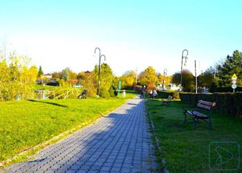 Żarów będzie bardziej zielony – jesienią ruszy odnowa przestrzeni rekreacyjnych miasta