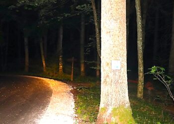 Dziecko na leśnej drodze i seniorka w domu – nieostrożność może być powodem poważnych problemów