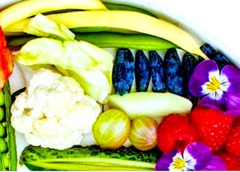 Im temperatura na zewnątrz wyższa tym apetyt mniejszy – jeść i pić trzeba