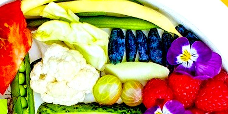 Im temperatura na zewnątrz wyższa tym apetyt mniejszy – jeść i pić trzeba