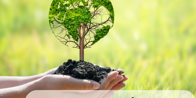 Konsultacje społeczne dotyczące projektu pn.: „Program ochrony środowiska dla Gminy Ziębice na lata 2022 – 2025 z perspektywą do roku 2029″