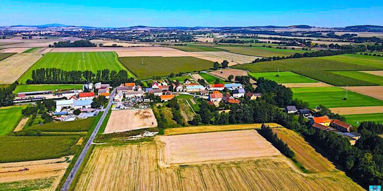 Nowa droga w Grochowiskach – ogłoszenie o przetargu